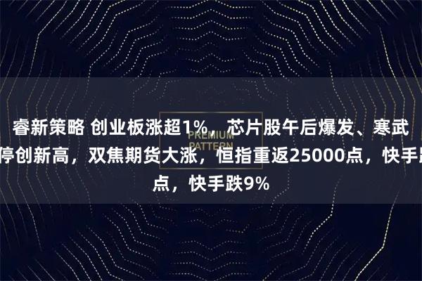 睿新策略 创业板涨超1%，芯片股午后爆发、寒武纪涨停创新高，双焦期货大涨，恒指重返25000点，快手跌9%