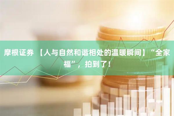 摩根证券 【人与自然和谐相处的温暖瞬间】“全家福”，拍到了！