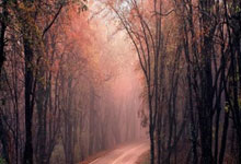 专业股票配资官网:融资可以买任何股票-暴涨！“牛市旗手”重磅榜单来了